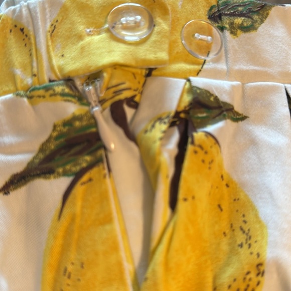 Taydey Fashion Sz M elastic waist pleated lemons print full skirt new - Picture 6 of 9